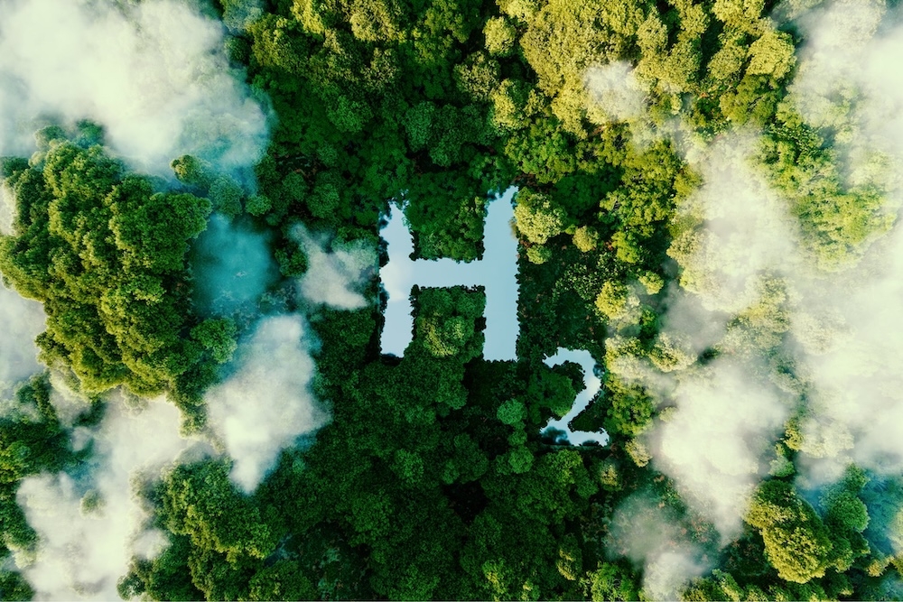 Wasserstoff Symbol im Wald